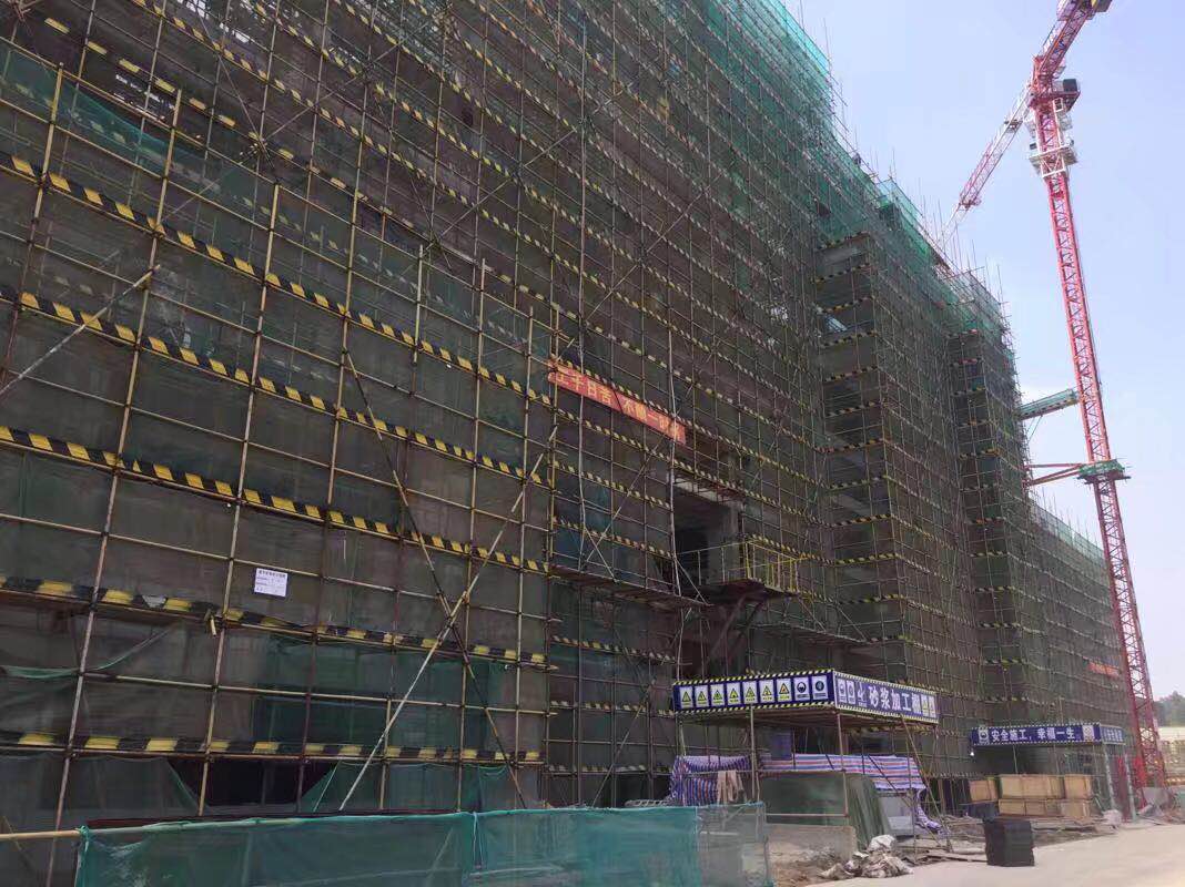 排柵管搭建工程 (1)