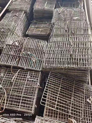 鋼笆網 (9)