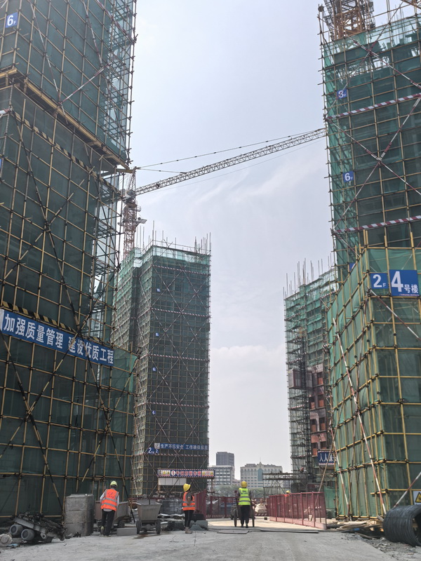 排柵鋼管搭建 (1)